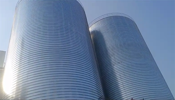 嘉善2座混凝土高架卷板仓